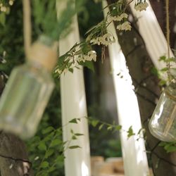 キャメロットヒルズの写真5枚目