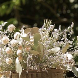 キャメロットヒルズの写真19枚目