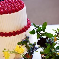 TRUNK HOTELの写真24枚目