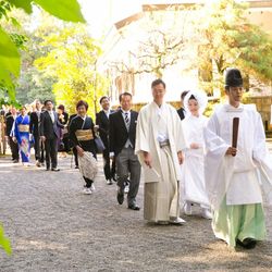 宮崎神宮の写真32枚目