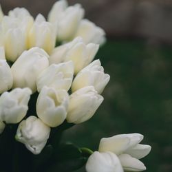 TOASTの写真17枚目