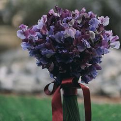 TOASTの写真21枚目