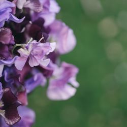TOASTの写真19枚目