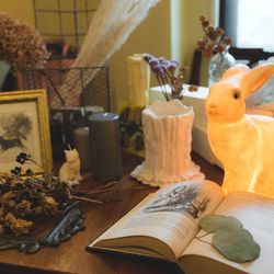 ボンボンボン ラ フェメゾンの写真16枚目