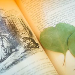 ボンボンボン ラ フェメゾンの写真29枚目