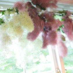 ボンボンボン ラ フェメゾンの写真35枚目