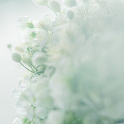 パレスホテル東京の写真30枚目