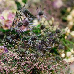 グランド ハイアット 東京の写真22枚目