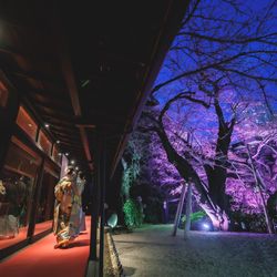 八芳園の写真34枚目