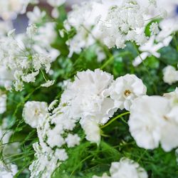 東京會舘の写真2枚目