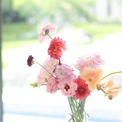 ララシャンス 博多の森の写真14枚目