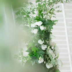 パレスホテル東京の写真4枚目