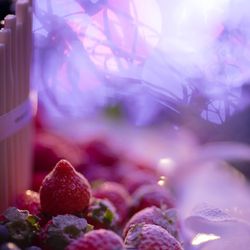 グランド ハイアット 東京の写真21枚目