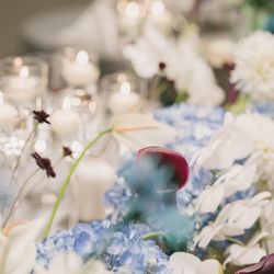 TIAD, オートグラフ コレクションの写真1枚目