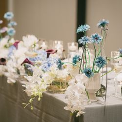 TIAD, オートグラフ コレクションの写真15枚目