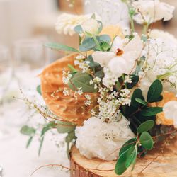 トリフォーリアNAGOYAの写真25枚目