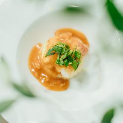 ザ・カワブンナゴヤの写真33枚目