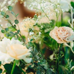 ザ・カワブンナゴヤの写真13枚目