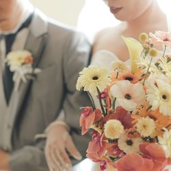 アルタビスタ ガーデンの写真23枚目