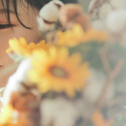 アルタビスタ ガーデンの写真22枚目