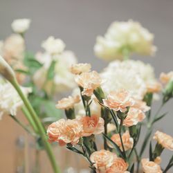 アルタビスタ ガーデンの写真17枚目