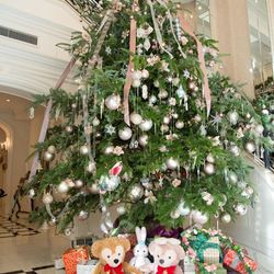 エスプリ・ド・ナチュールの写真20枚目