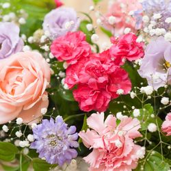 エスプリ・ド・ナチュールの写真12枚目