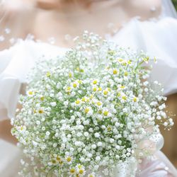 アルモニーアンブラッセ イットハウスの写真1枚目