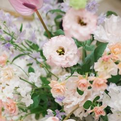 アルモニーアンブラッセ イットハウスの写真36枚目