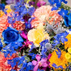 セント・ラファエロチャペル東京の写真27枚目