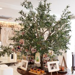 ララシャンス 博多の森の写真21枚目