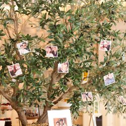 ララシャンス 博多の森の写真32枚目