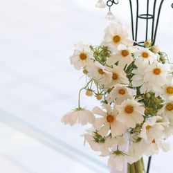 ララシャンス 博多の森の写真24枚目