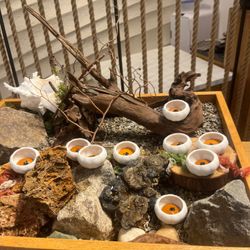 エネコ東京の写真21枚目