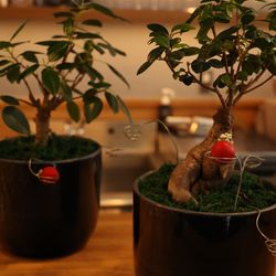 エネコ東京の写真25枚目