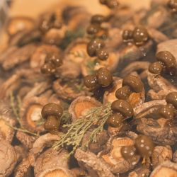 エネコ東京の写真23枚目