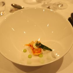 エネコ東京の写真28枚目