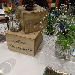 クアンティックの写真13枚目