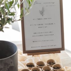 セトレ マリーナびわ湖の写真20枚目