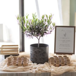 セトレ マリーナびわ湖の写真25枚目