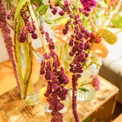 TRUNK HOTELの写真34枚目