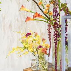 TRUNK HOTELの写真36枚目