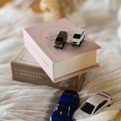 セトレ マリーナびわ湖の写真28枚目