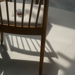 The Place of Tokyoの写真25枚目