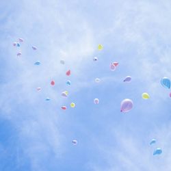 伊勢山ヒルズの写真3枚目