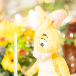 品川プリンスホテルの写真25枚目