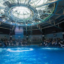 品川プリンスホテルの写真15枚目