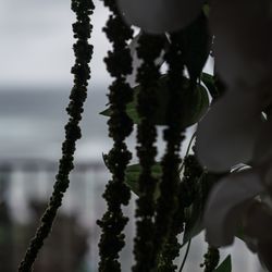 瀬良垣島教会の写真9枚目