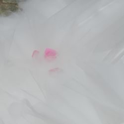 ハートコート横浜の写真24枚目