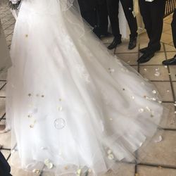 ザ・パームガーデン グリーンヒルズの写真20枚目